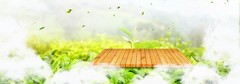 清新简约木板绿植食品茶叶海报背景