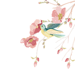 水彩绘春季花枝上的鸟