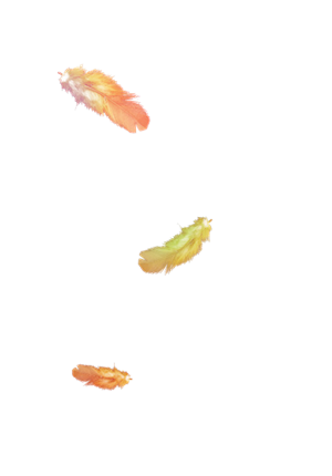 羽毛背景漂浮