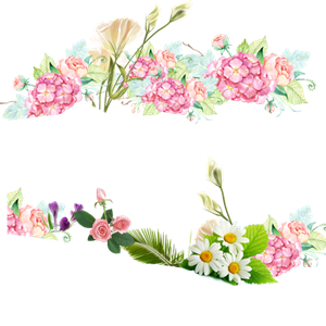 唯美浪漫花草