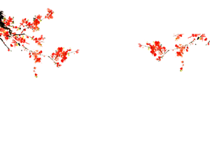 复古水墨红色花