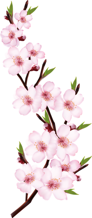 一支花