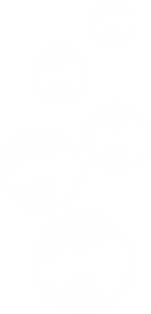 泡泡