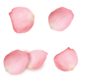 粉花色的花瓣