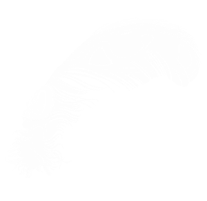 白色羽毛手绘