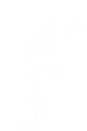 白烟