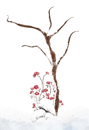 雪树花