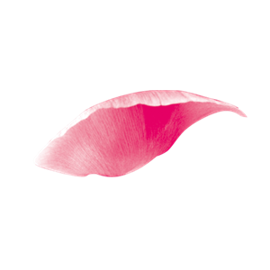 五彩漂浮花瓣