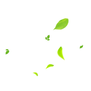 漂浮的树叶