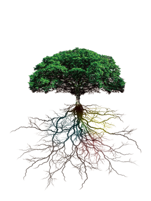 植物大榕树png元素