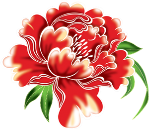漂亮牡丹花